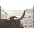 Picture of Bulls Eye View _GroupedProduct_Rectangle_Landscape_Photography _GroupedProduct_Rectangle_Landscape_Canvas_Framed_