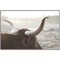 Picture of Bulls Eye View _GroupedProduct_Rectangle_Landscape_Photography _GroupedProduct_Rectangle_Landscape_Canvas_Framed_