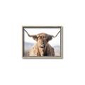 Picture of Shaggy Bull II _GroupedProduct_Rectangle_Landscape_Photography _GroupedProduct_Rectangle_Landscape_Canvas_Framed_