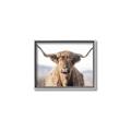 Picture of Shaggy Bull II _GroupedProduct_Rectangle_Landscape_Photography _GroupedProduct_Rectangle_Landscape_Canvas_Framed_