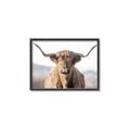 Picture of Shaggy Bull II _GroupedProduct_Rectangle_Landscape_Photography _GroupedProduct_Rectangle_Landscape_Canvas_Framed_