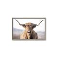 Picture of Shaggy Bull II _GroupedProduct_Rectangle_Landscape_Photography _GroupedProduct_Rectangle_Landscape_Canvas_Framed_