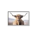 Picture of Shaggy Bull II _GroupedProduct_Rectangle_Landscape_Photography _GroupedProduct_Rectangle_Landscape_Canvas_Framed_