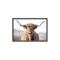 Picture of Shaggy Bull II _GroupedProduct_Rectangle_Landscape_Photography _GroupedProduct_Rectangle_Landscape_Canvas_Framed_