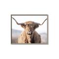 Picture of Shaggy Bull II _GroupedProduct_Rectangle_Landscape_Photography _GroupedProduct_Rectangle_Landscape_Canvas_Framed_