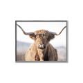 Picture of Shaggy Bull II _GroupedProduct_Rectangle_Landscape_Photography _GroupedProduct_Rectangle_Landscape_Canvas_Framed_