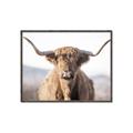 Picture of Shaggy Bull II _GroupedProduct_Rectangle_Landscape_Photography _GroupedProduct_Rectangle_Landscape_Canvas_Framed_