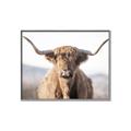 Picture of Shaggy Bull II _GroupedProduct_Rectangle_Landscape_Photography _GroupedProduct_Rectangle_Landscape_Canvas_Framed_
