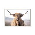 Picture of Shaggy Bull II _GroupedProduct_Rectangle_Landscape_Photography _GroupedProduct_Rectangle_Landscape_Canvas_Framed_