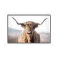 Picture of Shaggy Bull II _GroupedProduct_Rectangle_Landscape_Photography _GroupedProduct_Rectangle_Landscape_Canvas_Framed_