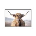 Picture of Shaggy Bull II _GroupedProduct_Rectangle_Landscape_Photography _GroupedProduct_Rectangle_Landscape_Canvas_Framed_