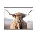 Picture of Shaggy Bull II _GroupedProduct_Rectangle_Landscape_Photography _GroupedProduct_Rectangle_Landscape_Canvas_Framed_