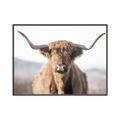 Picture of Shaggy Bull II _GroupedProduct_Rectangle_Landscape_Photography _GroupedProduct_Rectangle_Landscape_Canvas_Framed_