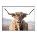 Picture of Shaggy Bull II _GroupedProduct_Rectangle_Landscape_Photography _GroupedProduct_Rectangle_Landscape_Canvas_Framed_