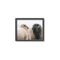 Picture of Good Talk _GroupedProduct_Rectangle_Landscape_Photography _GroupedProduct_Rectangle_Landscape_Canvas_Framed_