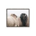 Picture of Good Talk _GroupedProduct_Rectangle_Landscape_Photography _GroupedProduct_Rectangle_Landscape_Canvas_Framed_