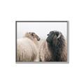 Picture of Good Talk _GroupedProduct_Rectangle_Landscape_Photography _GroupedProduct_Rectangle_Landscape_Canvas_Framed_