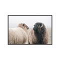 Picture of Good Talk _GroupedProduct_Rectangle_Landscape_Photography _GroupedProduct_Rectangle_Landscape_Canvas_Framed_