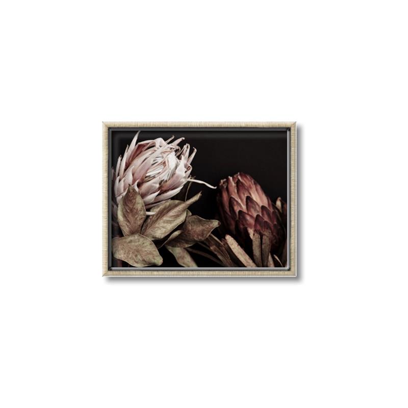 Picture of Beautiful Blooms _GroupedProduct_Rectangle_Landscape_Photography _GroupedProduct_Rectangle_Landscape_Canvas_Framed_
