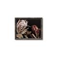 Picture of Beautiful Blooms _GroupedProduct_Rectangle_Landscape_Photography _GroupedProduct_Rectangle_Landscape_Canvas_Framed_