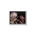 Picture of Beautiful Blooms _GroupedProduct_Rectangle_Landscape_Photography _GroupedProduct_Rectangle_Landscape_Canvas_Framed_