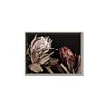 Picture of Beautiful Blooms _GroupedProduct_Rectangle_Landscape_Photography _GroupedProduct_Rectangle_Landscape_Canvas_Framed_