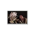 Picture of Beautiful Blooms _GroupedProduct_Rectangle_Landscape_Photography _GroupedProduct_Rectangle_Landscape_Canvas_Framed_