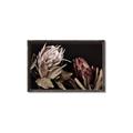 Picture of Beautiful Blooms _GroupedProduct_Rectangle_Landscape_Photography _GroupedProduct_Rectangle_Landscape_Canvas_Framed_