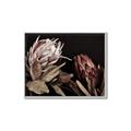 Picture of Beautiful Blooms _GroupedProduct_Rectangle_Landscape_Photography _GroupedProduct_Rectangle_Landscape_Canvas_Framed_