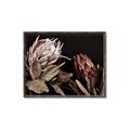 Picture of Beautiful Blooms _GroupedProduct_Rectangle_Landscape_Photography _GroupedProduct_Rectangle_Landscape_Canvas_Framed_