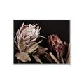 Picture of Beautiful Blooms _GroupedProduct_Rectangle_Landscape_Photography _GroupedProduct_Rectangle_Landscape_Canvas_Framed_