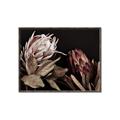 Picture of Beautiful Blooms _GroupedProduct_Rectangle_Landscape_Photography _GroupedProduct_Rectangle_Landscape_Canvas_Framed_