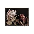 Picture of Beautiful Blooms _GroupedProduct_Rectangle_Landscape_Photography _GroupedProduct_Rectangle_Landscape_Canvas_Framed_
