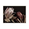 Picture of Beautiful Blooms _GroupedProduct_Rectangle_Landscape_Photography _GroupedProduct_Rectangle_Landscape_Canvas_Framed_