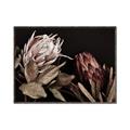Picture of Beautiful Blooms _GroupedProduct_Rectangle_Landscape_Photography _GroupedProduct_Rectangle_Landscape_Canvas_Framed_