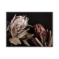 Picture of Beautiful Blooms _GroupedProduct_Rectangle_Landscape_Photography _GroupedProduct_Rectangle_Landscape_Canvas_Framed_