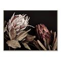 Picture of Beautiful Blooms _GroupedProduct_Rectangle_Landscape_Photography _GroupedProduct_Rectangle_Landscape_Canvas_Framed_