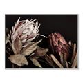 Picture of Beautiful Blooms _GroupedProduct_Rectangle_Landscape_Photography _GroupedProduct_Rectangle_Landscape_Canvas_Framed_