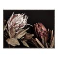 Picture of Beautiful Blooms _GroupedProduct_Rectangle_Landscape_Photography _GroupedProduct_Rectangle_Landscape_Canvas_Framed_