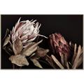 Picture of Beautiful Blooms _GroupedProduct_Rectangle_Landscape_Photography _GroupedProduct_Rectangle_Landscape_Canvas_Framed_