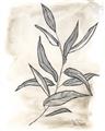 Picture of Antiqued Leaves I _GroupedProduct_Rectangle_Portrait_Unframed_Print_Only_