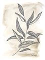 Picture of Antiqued Leaves I _GroupedProduct_Rectangle_Portrait_Unframed_Print_Only_