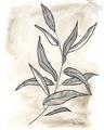 Picture of Antiqued Leaves I _GroupedProduct_Rectangle_Portrait_Unframed_Print_Only_