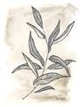 Picture of Antiqued Leaves I _GroupedProduct_Rectangle_Portrait_Unframed_Print_Only_