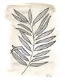 Picture of Antiqued Leaves II _GroupedProduct_Rectangle_Portrait_Unframed_Print_Only_