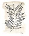 Picture of Antiqued Leaves II _GroupedProduct_Rectangle_Portrait_Unframed_Print_Only_