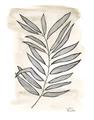 Picture of Antiqued Leaves II _GroupedProduct_Rectangle_Portrait_Unframed_Print_Only_