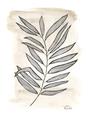 Picture of Antiqued Leaves II _GroupedProduct_Rectangle_Portrait_Unframed_Print_Only_