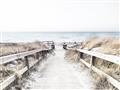 Picture of Path to the Beach II _GroupedProduct_Rectangle_Landscape_Photography _GroupedProduct_Rectangle_Landscape_Unframed_Print_Only_