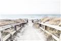 Picture of Path to the Beach II _GroupedProduct_Rectangle_Landscape_Photography _GroupedProduct_Rectangle_Landscape_Unframed_Print_Only_